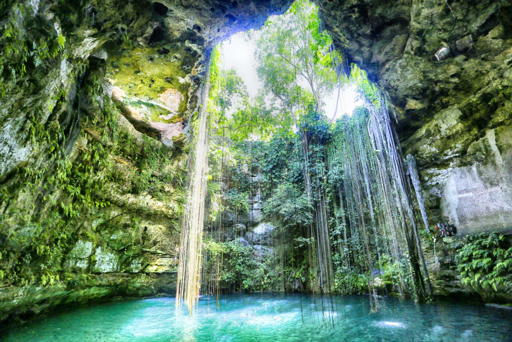 Сенот в Мексике cenote1