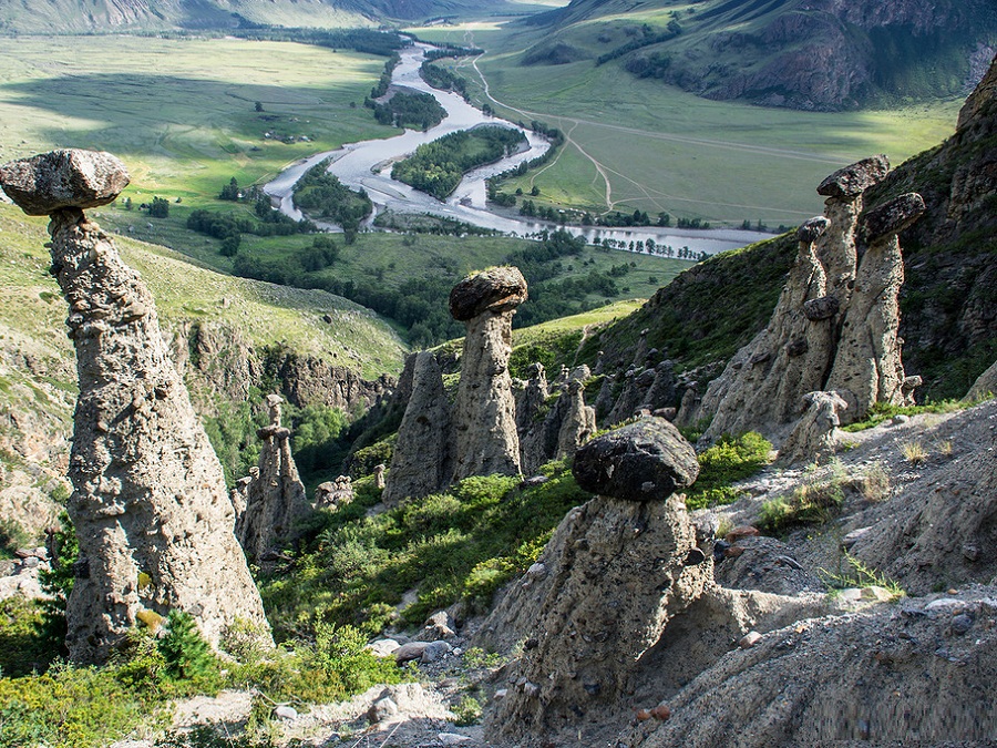 Каменные грибы