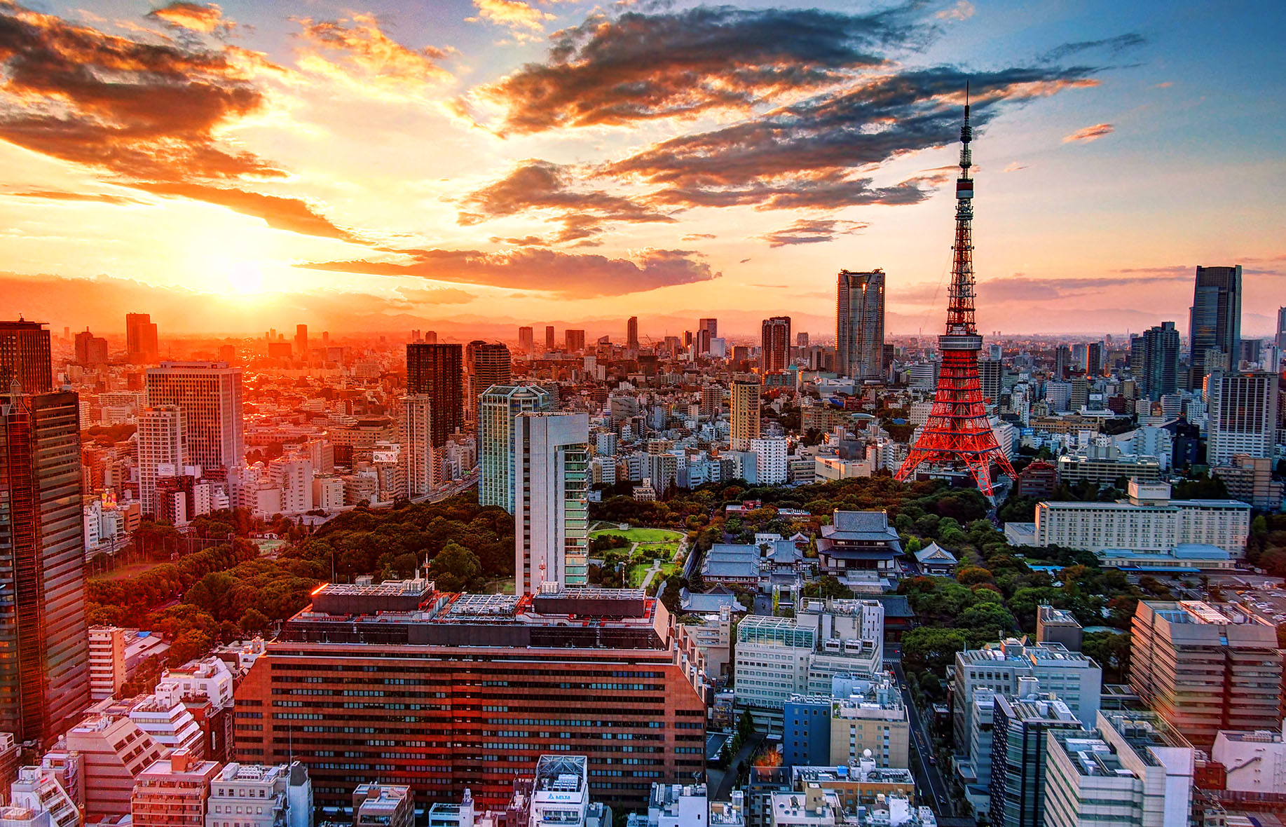 Панорама Токио